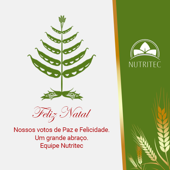 Um Feliz Natal!