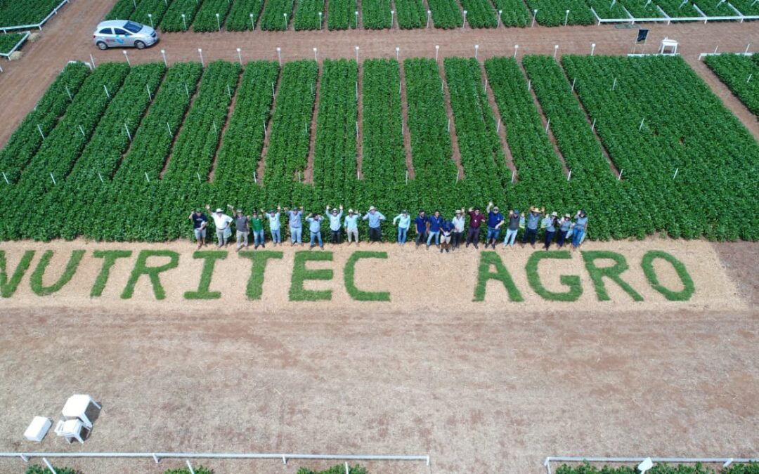 Conclusão 5º Dia de Campo Nutritec Agro