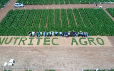 Conclusão 5º Dia de Campo Nutritec Agro