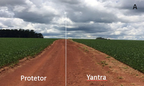 comparativo-a Yantra x Protetor: Comparativo A