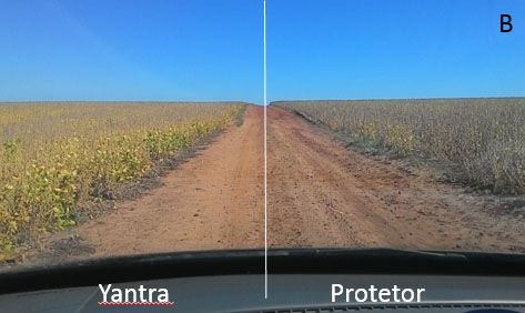 comparativo-b Yantra x Protetor: Comparativo B
