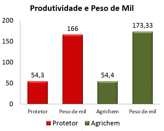 grafico-protetor-x-yantra Yantra x Protetor