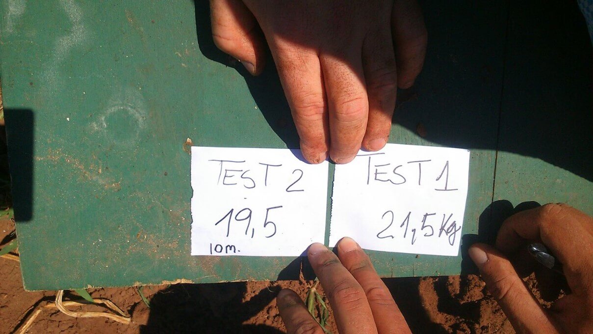 resultados-colheita-pesagem-kit-kiss-batata-1 Resultados da colheita - Pesagem - Kit Kiss Batata